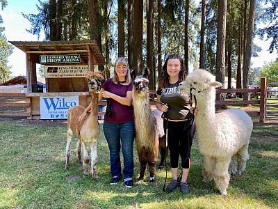 Tina and Reneé with three camelids at the Pierce county fair.