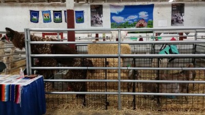 Spring Fair 2018