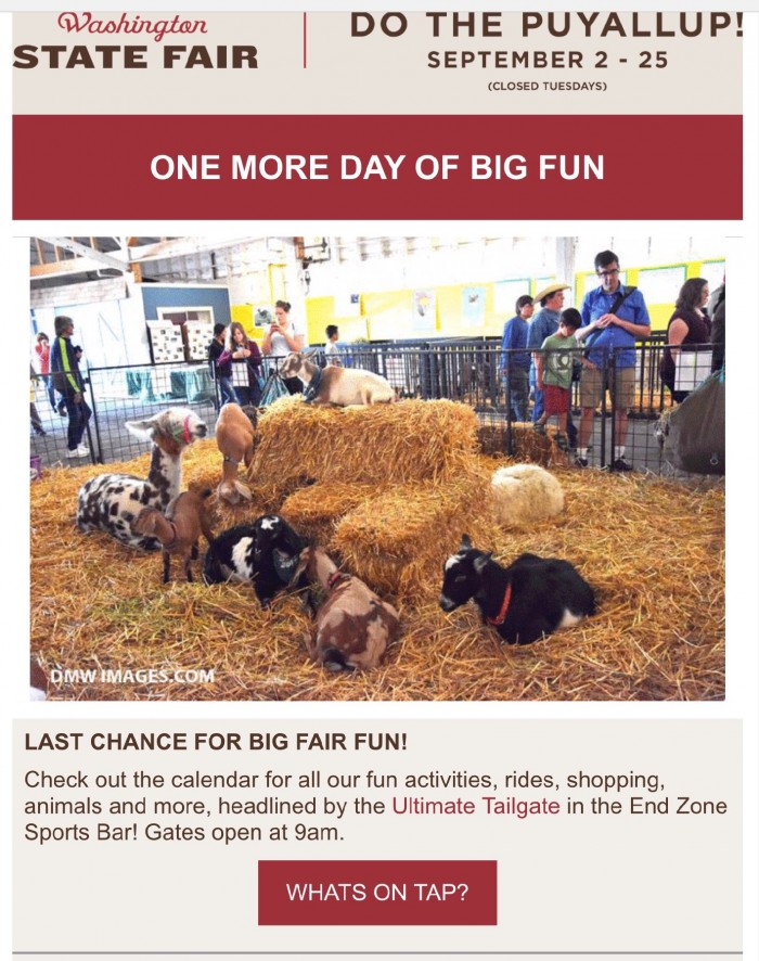 Wily Critters at the 2016 Puyallup Fall Fair. 